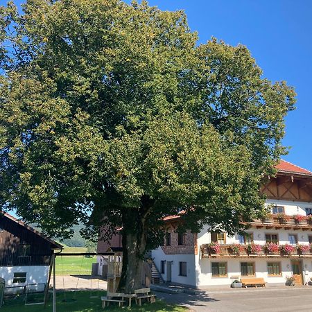 Biohof-Feichtinger Apartment Zell am Moos Bagian luar foto