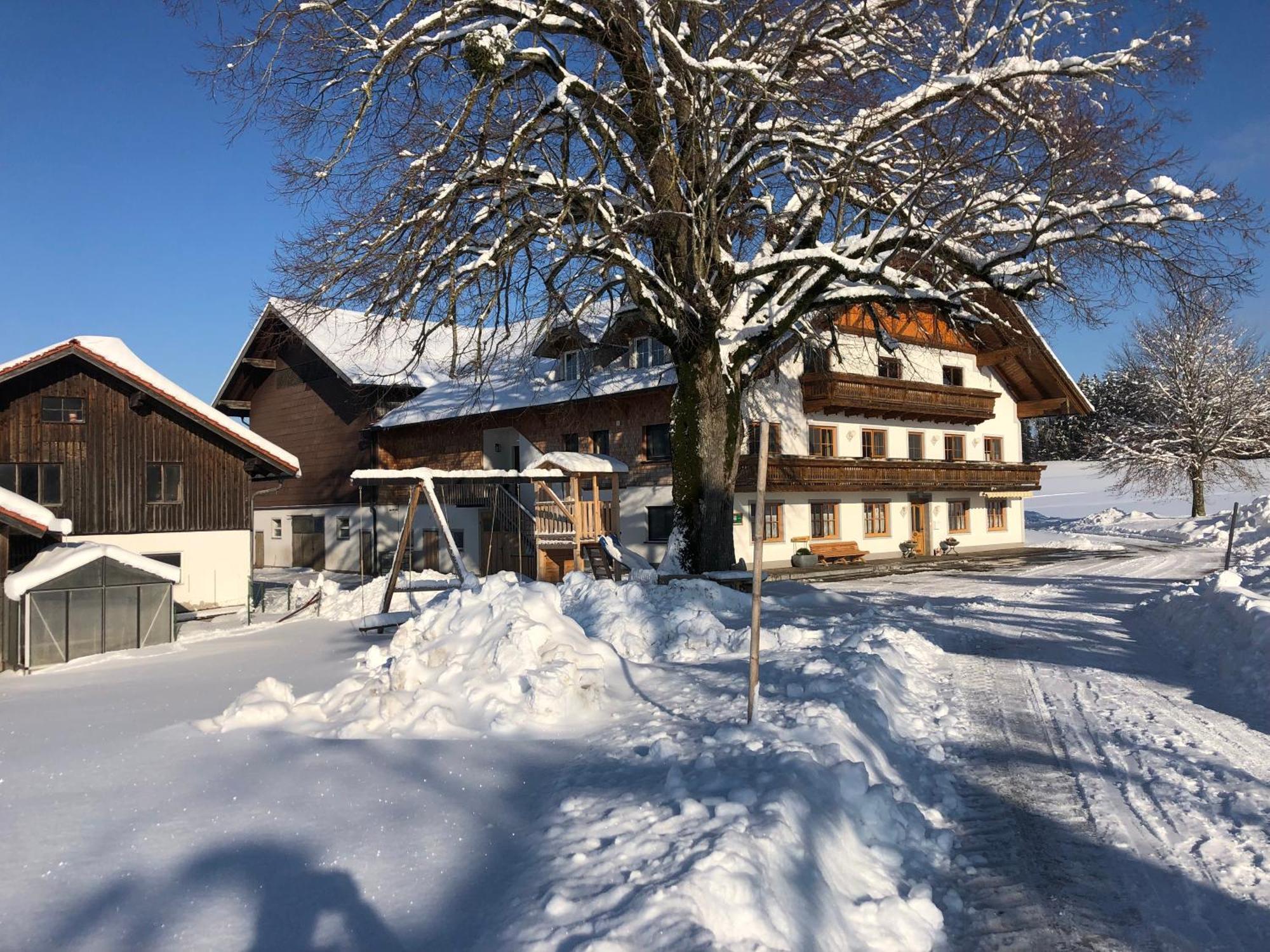 Biohof-Feichtinger Apartment Zell am Moos Bagian luar foto
